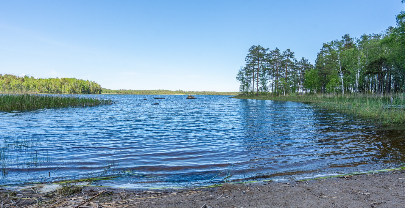 Allmänningevägen 203_17