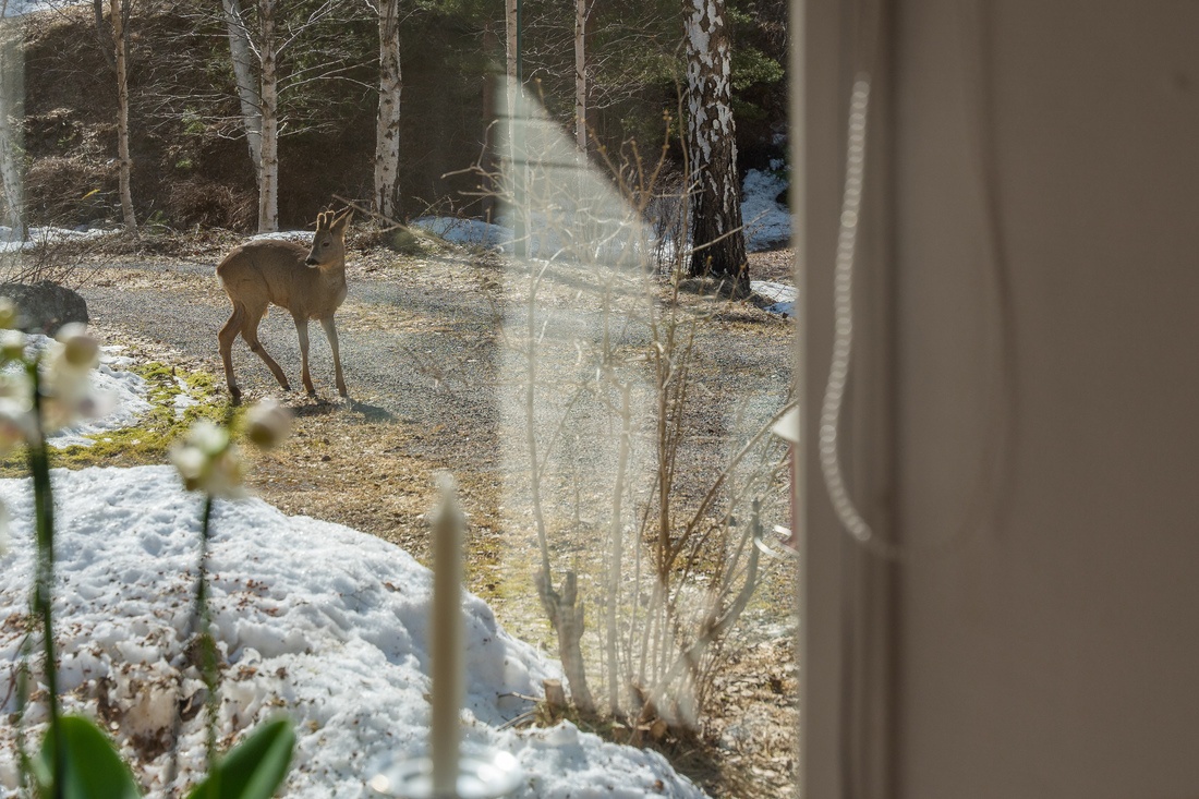 Med naturen runt knuten...