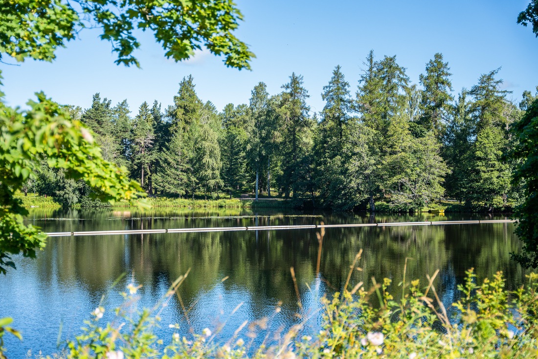 Granne med Boulognerskogen...