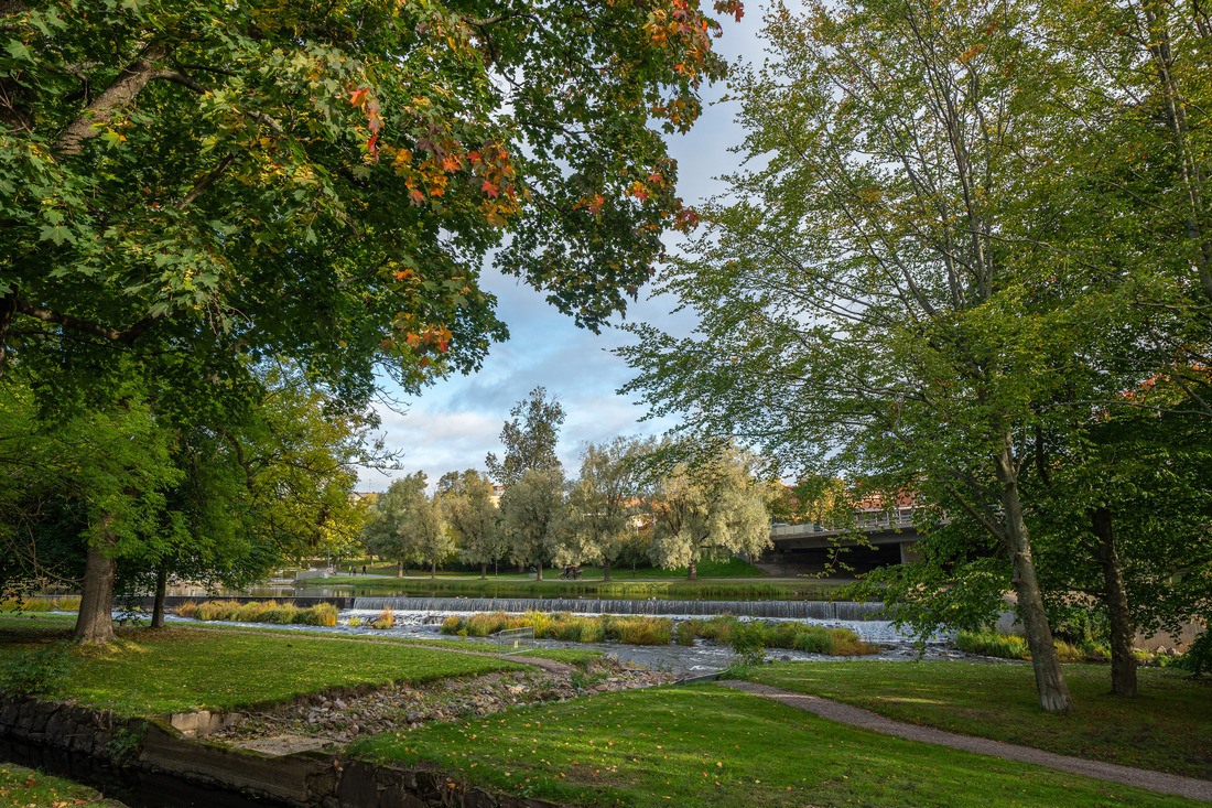 Boulognerskogen...