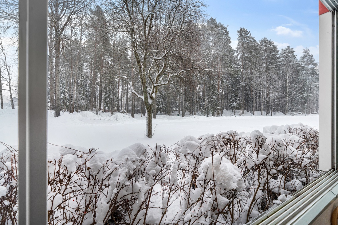 Hörnlägenhet mot skogen...