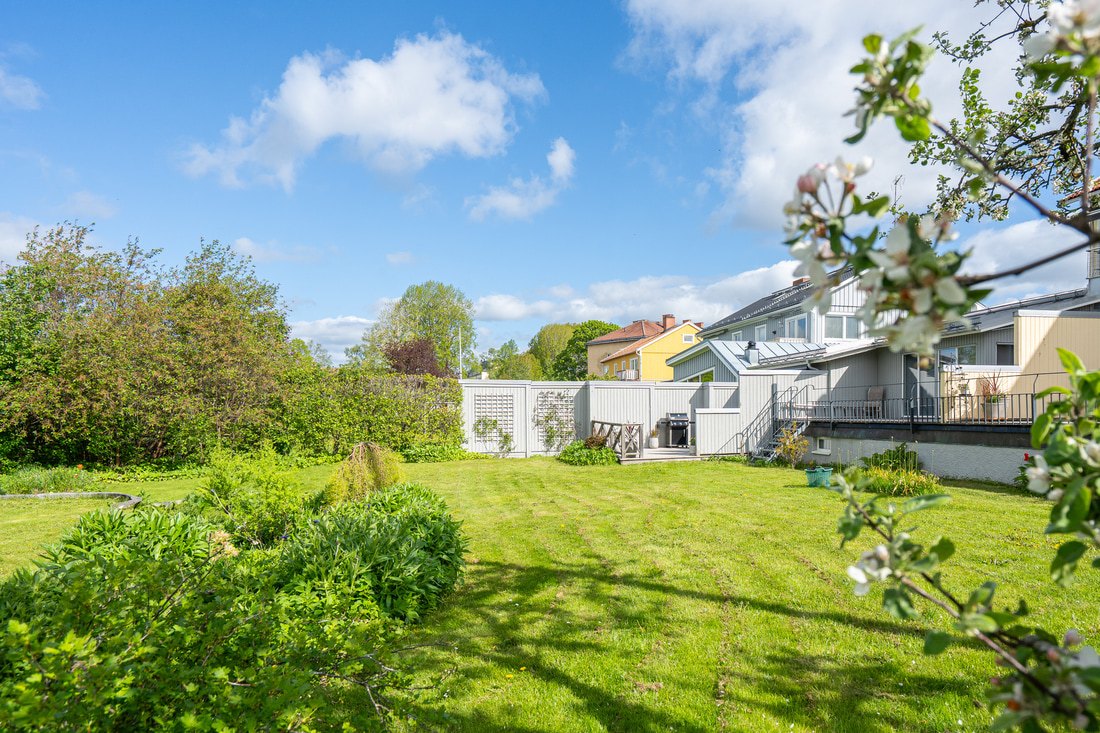 Härlig trädgård med fruktträd och bärbuskar Härlig trädgård med fruktträd och bärbuskar