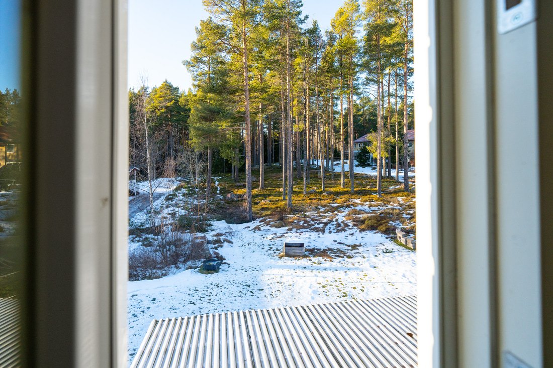 Med blicken på rådjuren. 