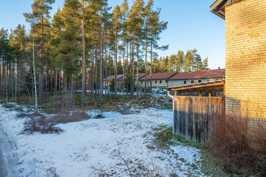 Motionsspår bortom skogen. 