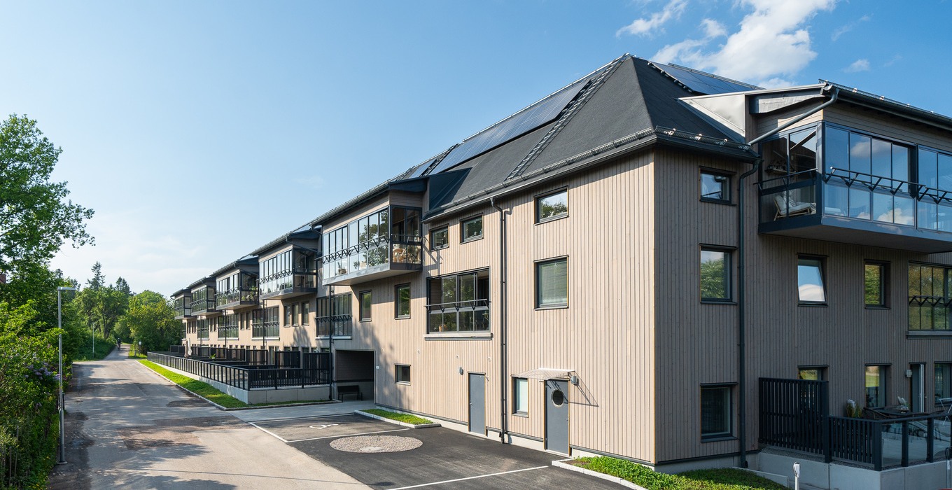 Hedvigs Trädgård 2024_5