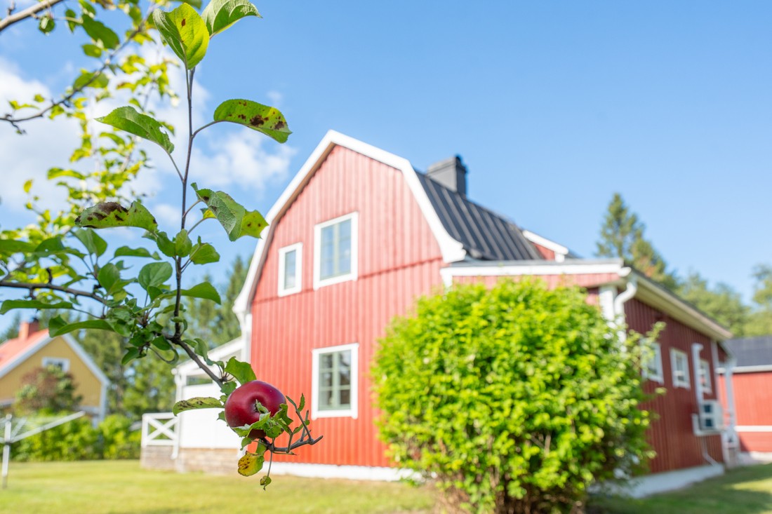 Gott om äpplen Gott om äpplen