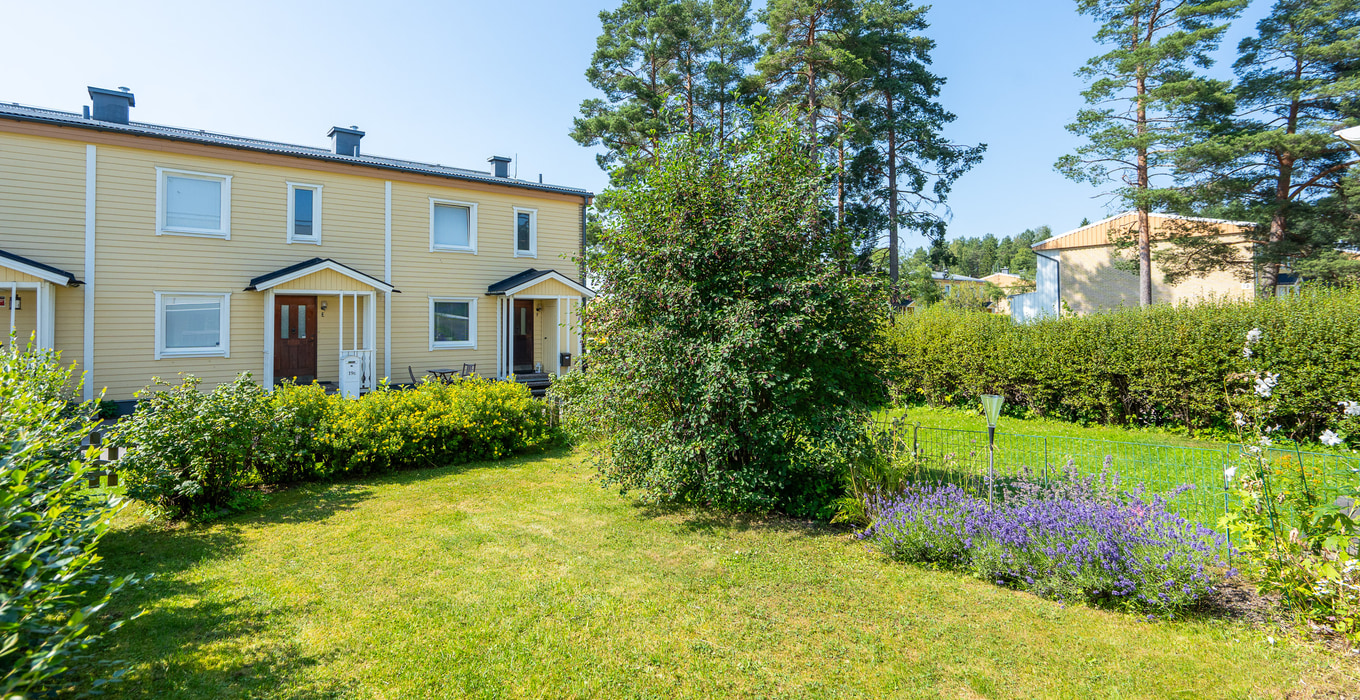 Rävpasset 17E_34
