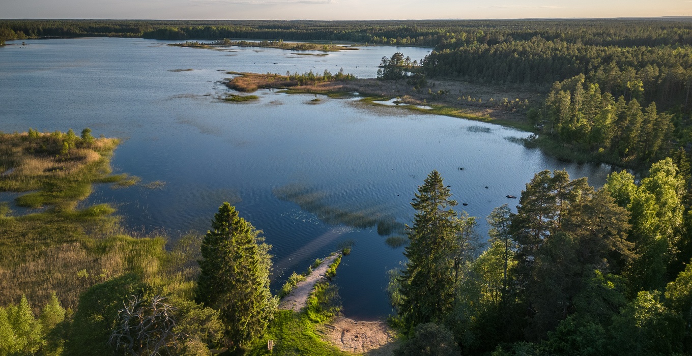 Sälgsjöslingan 9_21