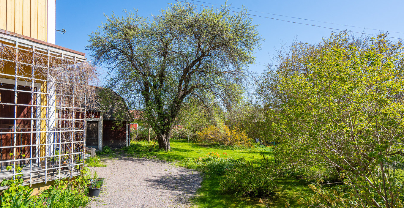 Vallgatan 4_10