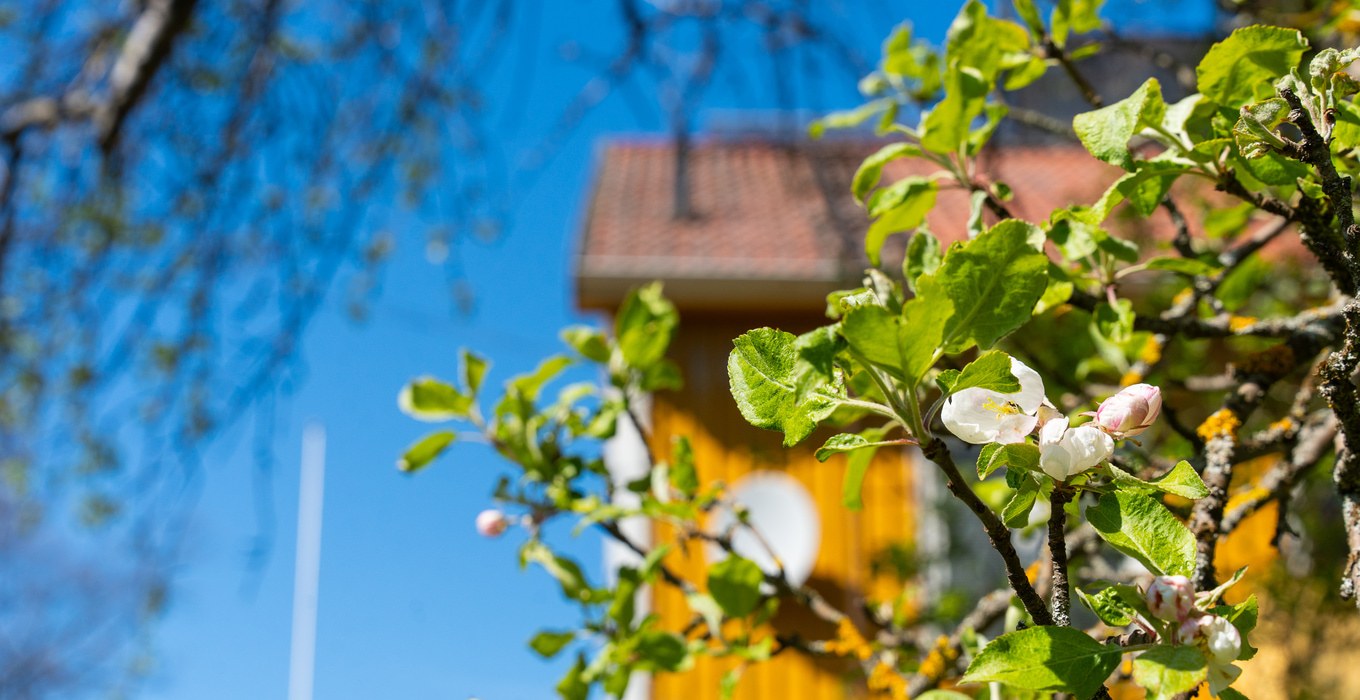 Vallgatan 4_22